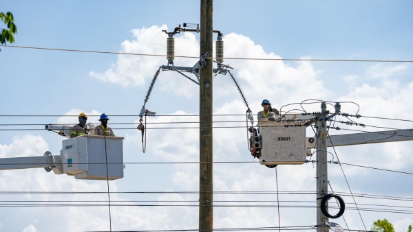La ETED trabajará este viernes en la línea 69 kV San Juan I – Sabaneta